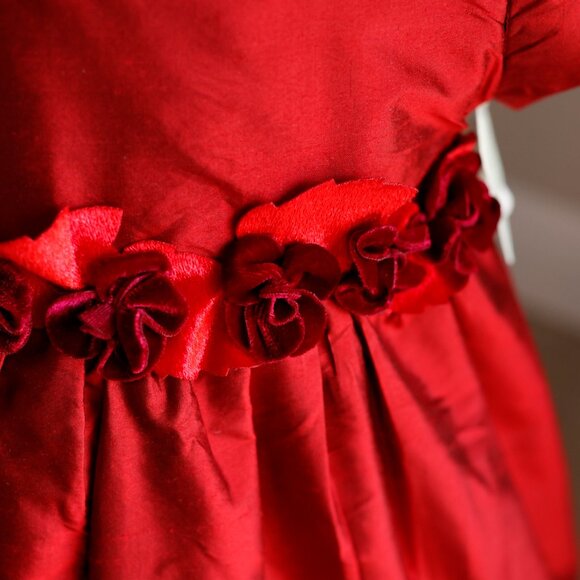 Red Silk Dress Luxury Designer Velvet Rose Leaf Trim Special Occasion Portrait - Picture 3 of 6